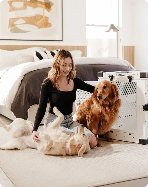 Improvement Partner Image